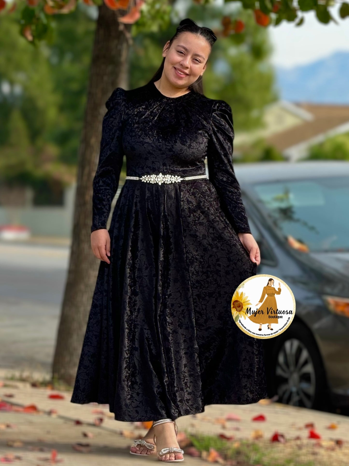Eloisa Black Velvet with Flowers Dress
