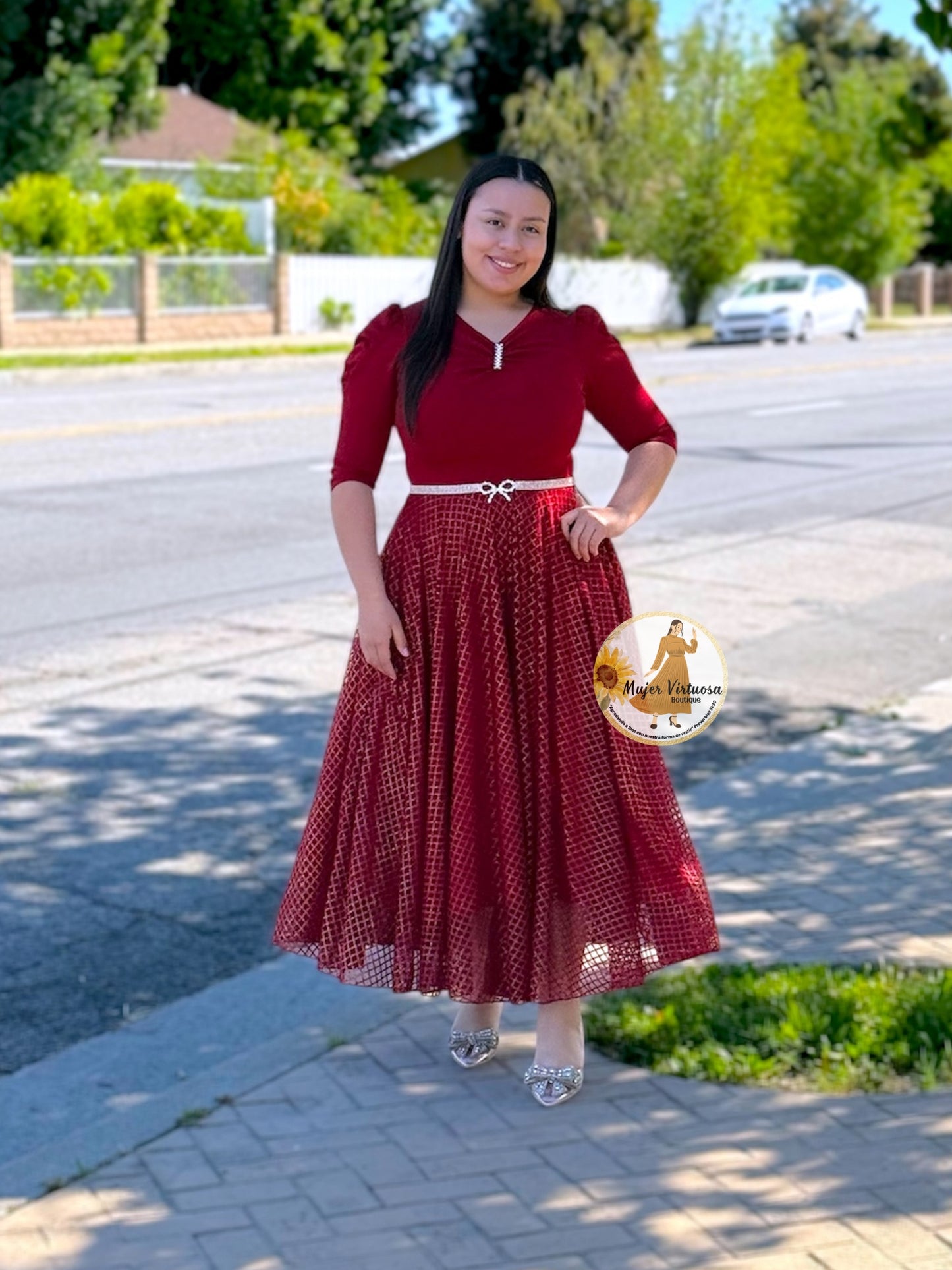 Lisa Ruby Red Mesh Dress