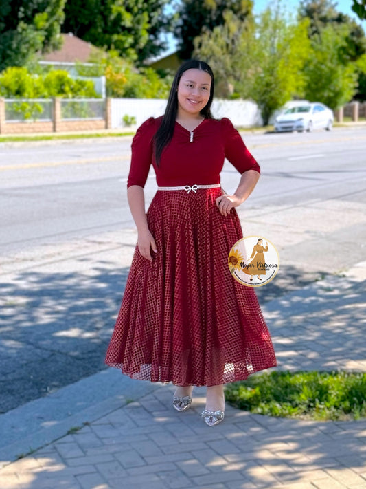 Lisa Ruby Red Mesh Dress