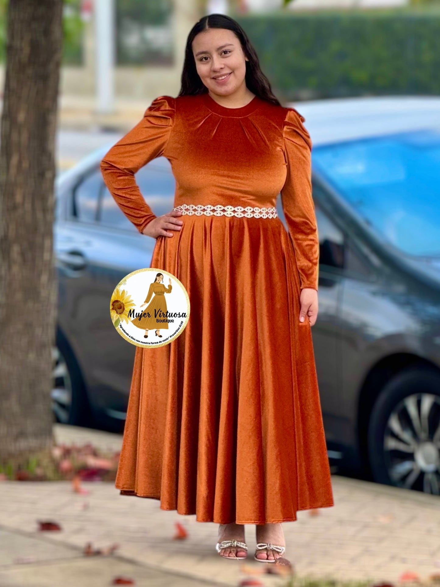 Eloisa Terracota Velvet Dress