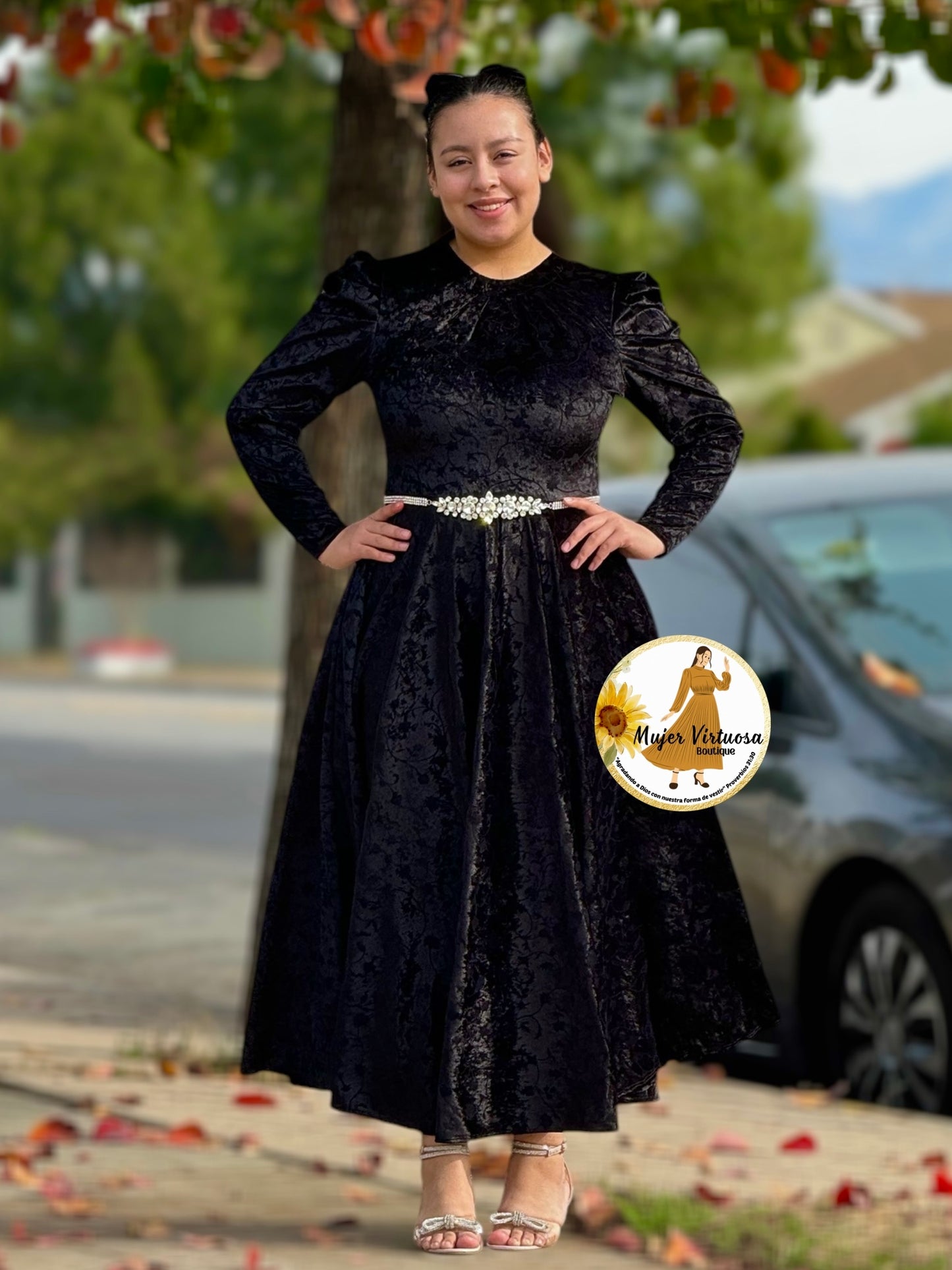 Eloisa Black Velvet with Flowers Dress