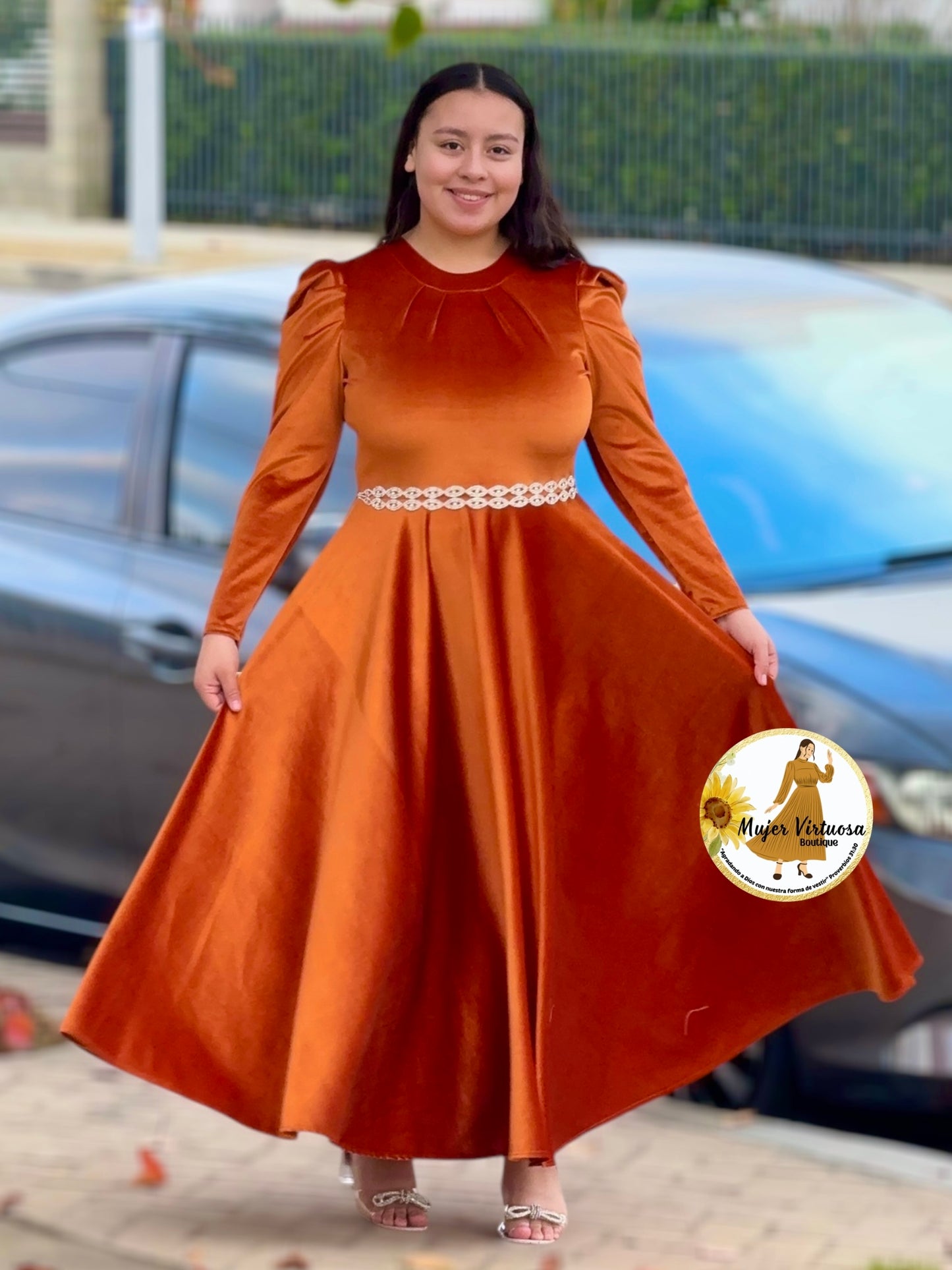 Eloisa Terracota Velvet Dress