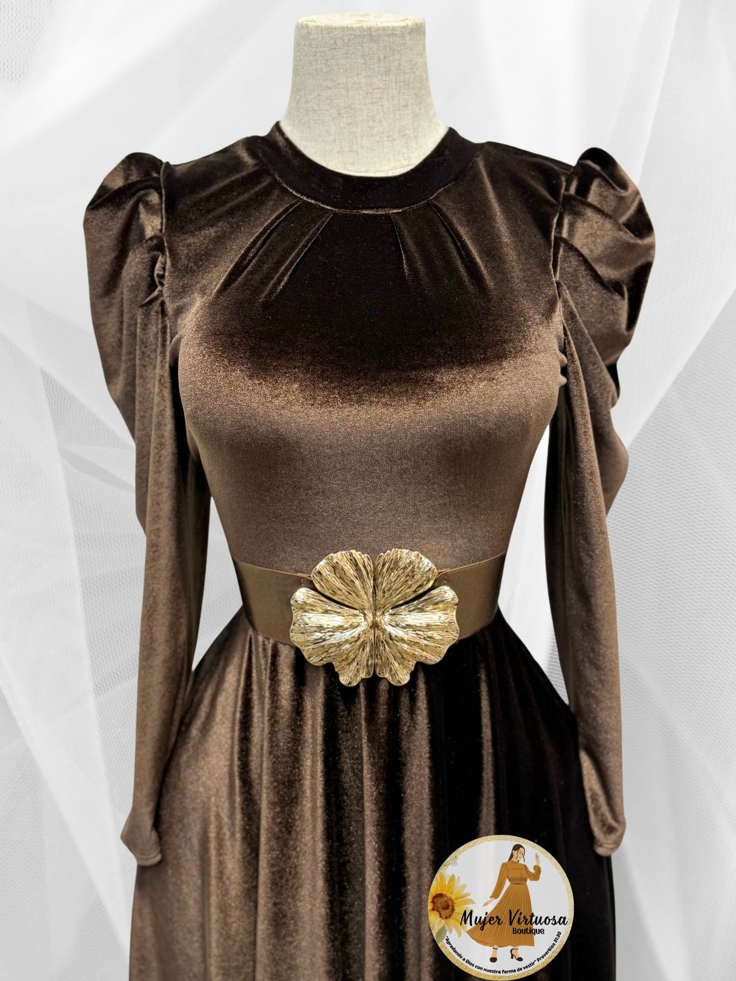 Eloisa Chocolate Velvet Dress