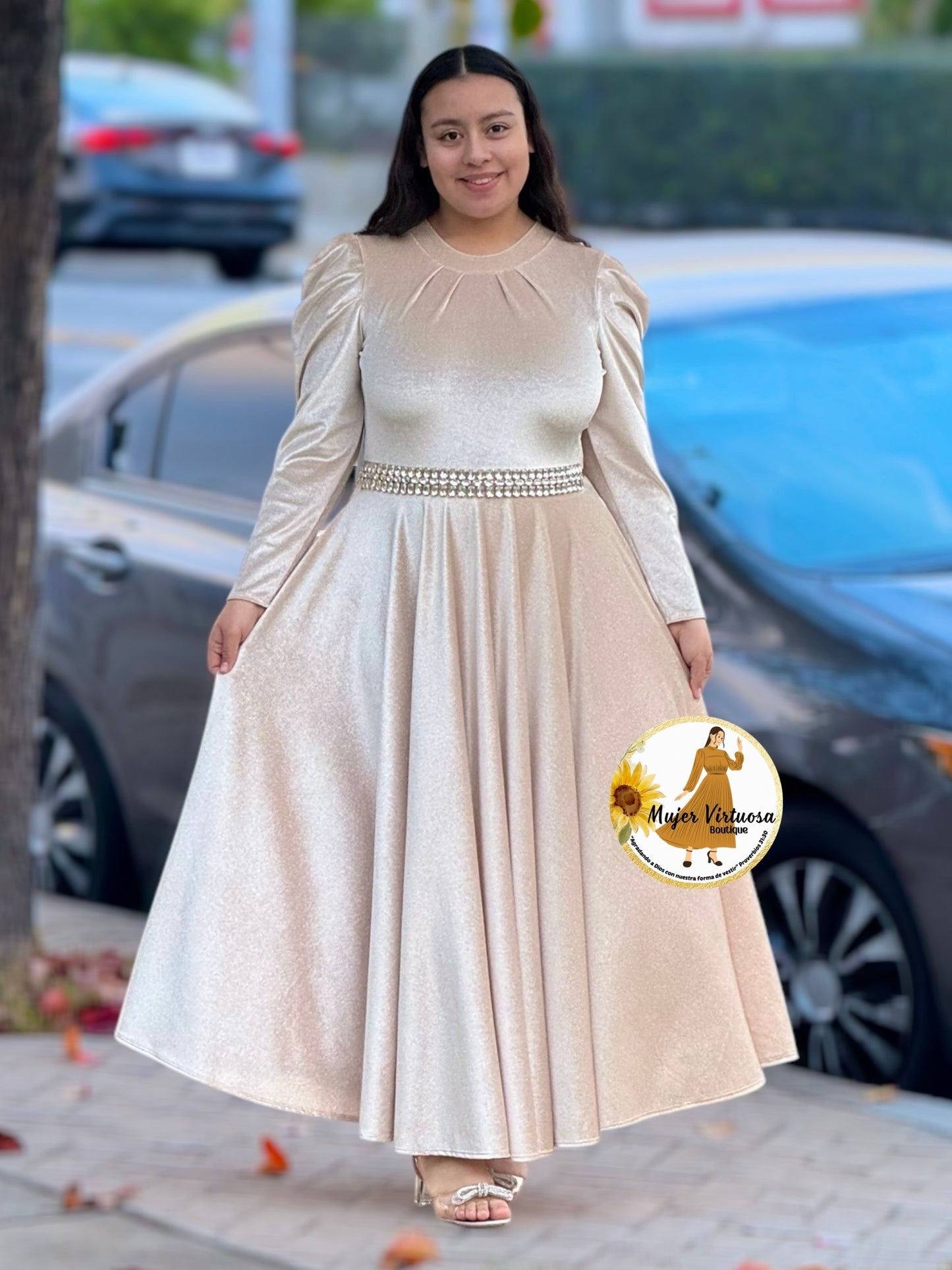 Eloisa Ivory Glitter Velvet Dress