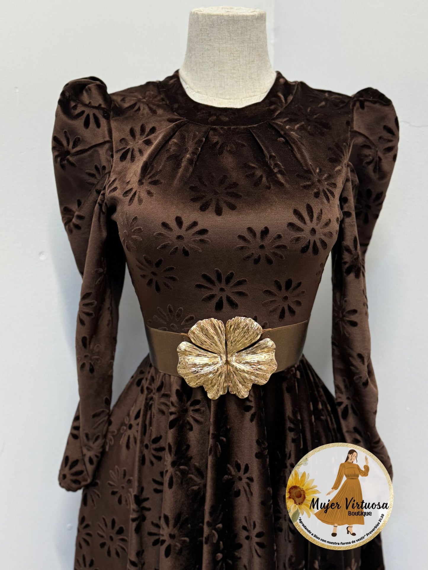 Eloisa Chocolate Floral Velvet Dress