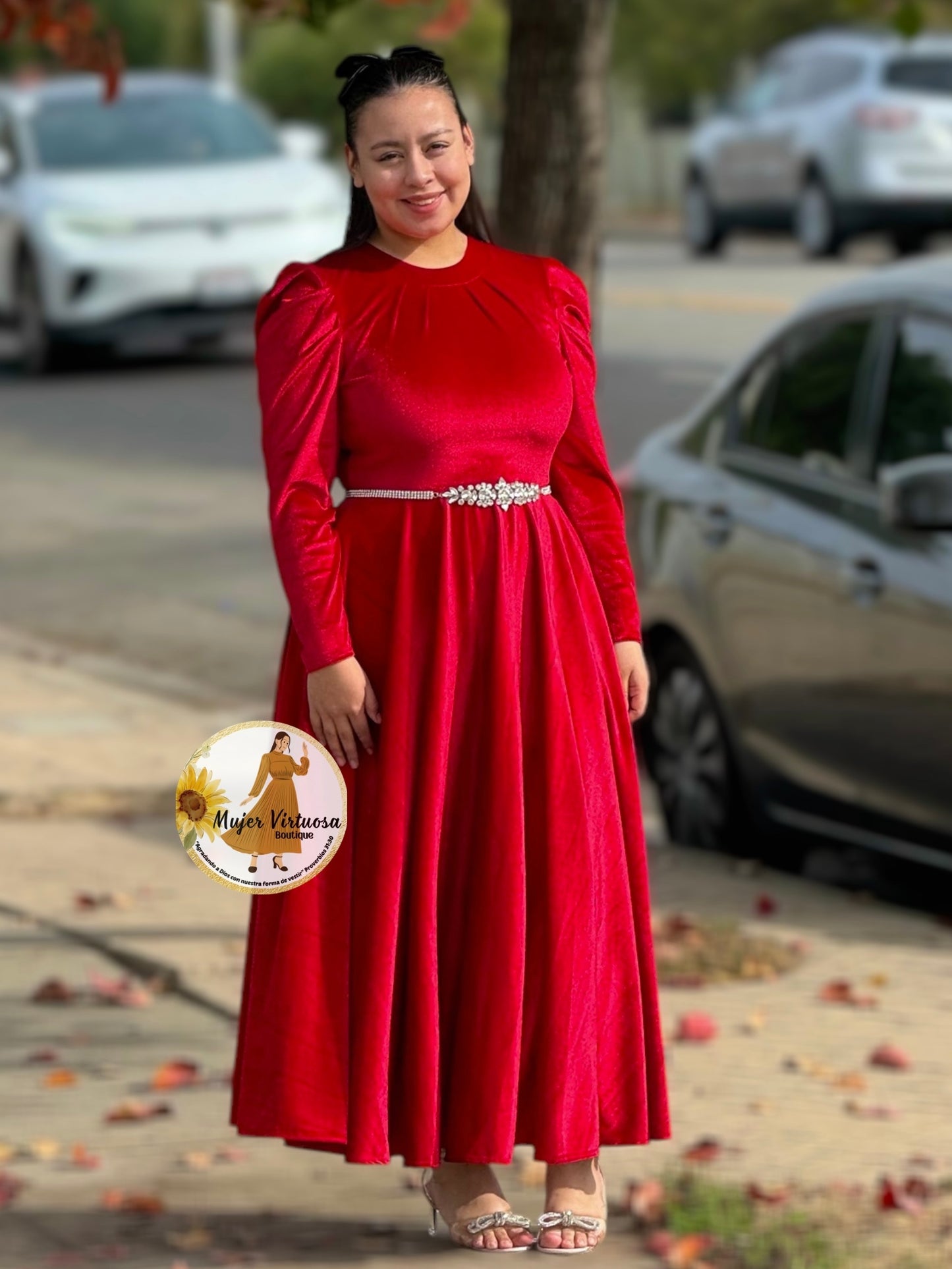 Eloisa Red Velvet Dress