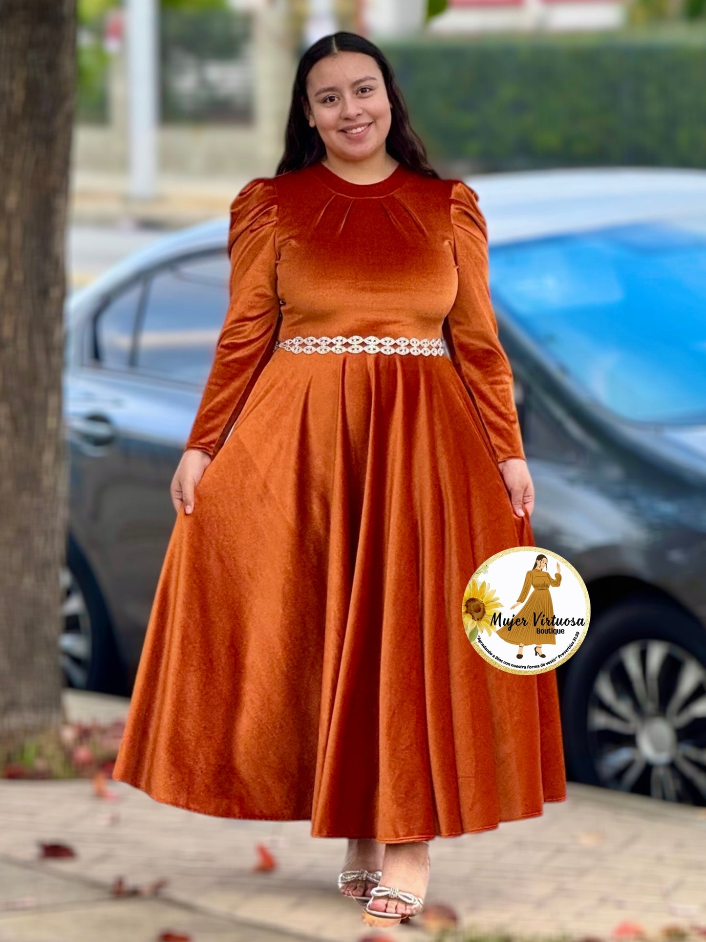 Eloisa Terracota Velvet Dress