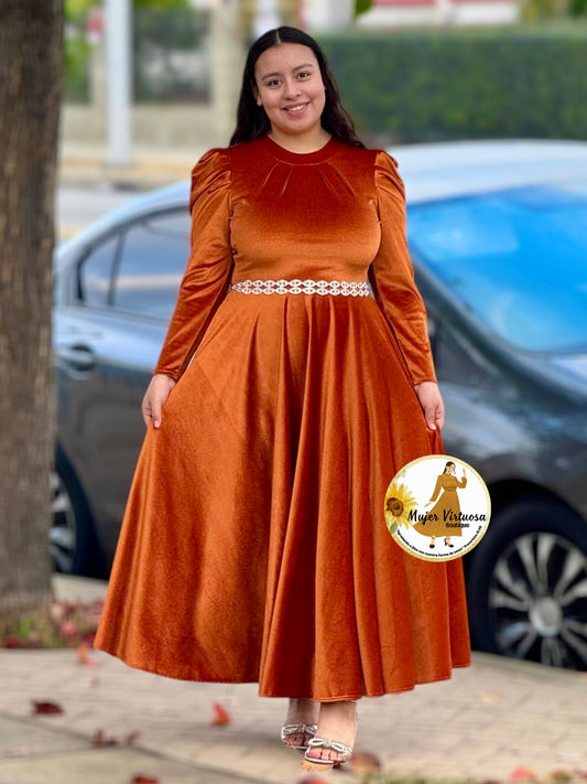 Eloisa Terracota Velvet Dress