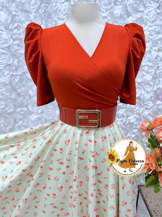 Cinto Elástico Color Ladrillo