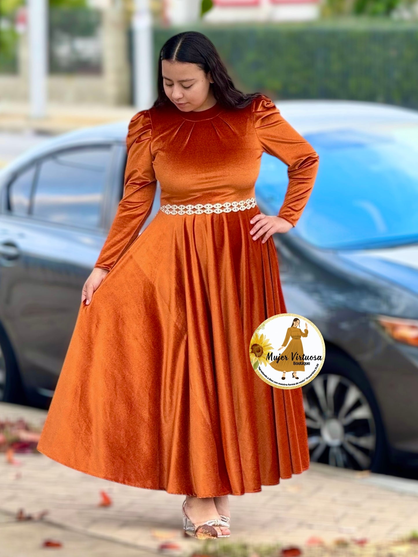 Eloisa Terracota Velvet Dress