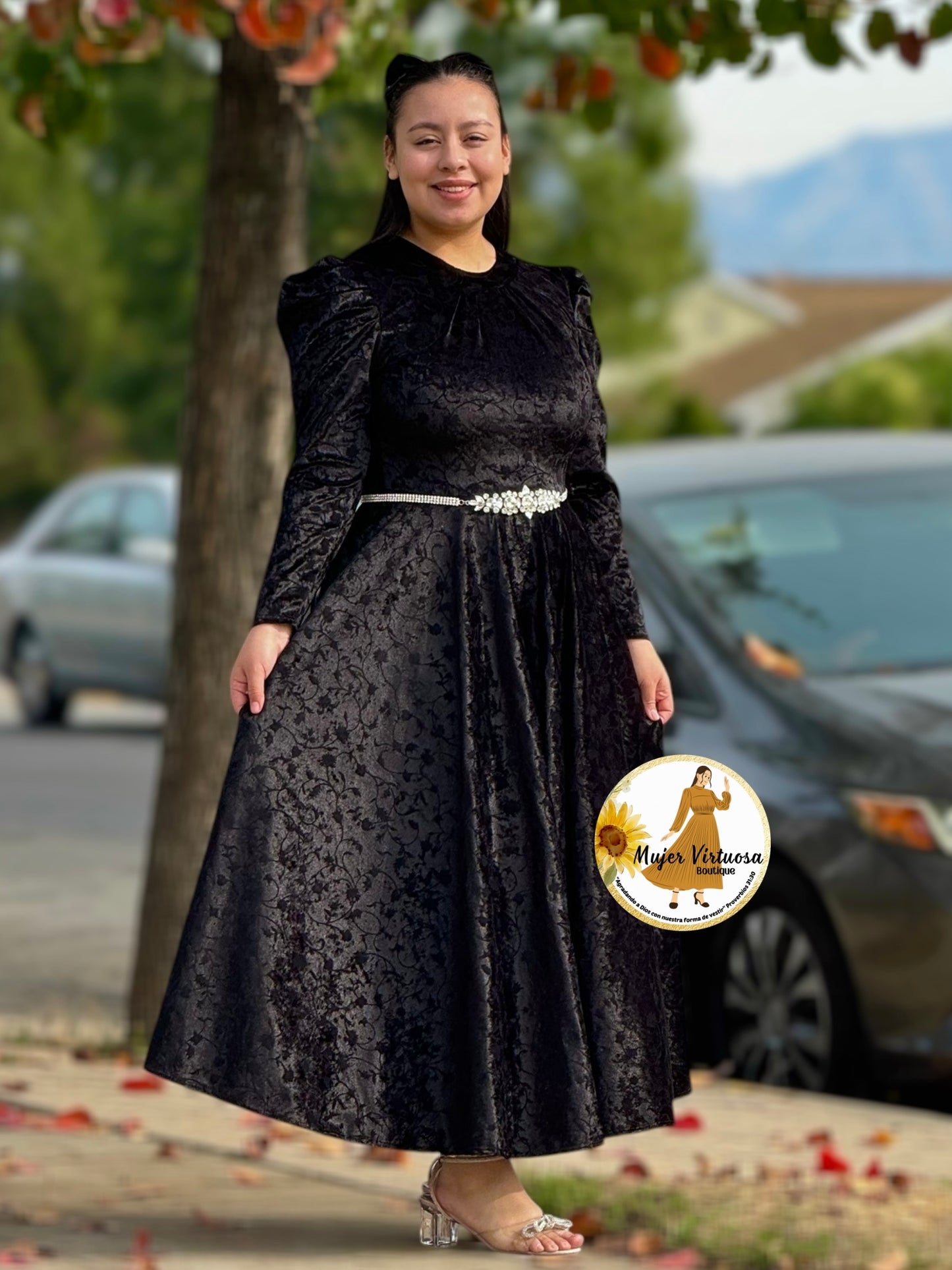 Eloisa Black Velvet with Flowers Dress