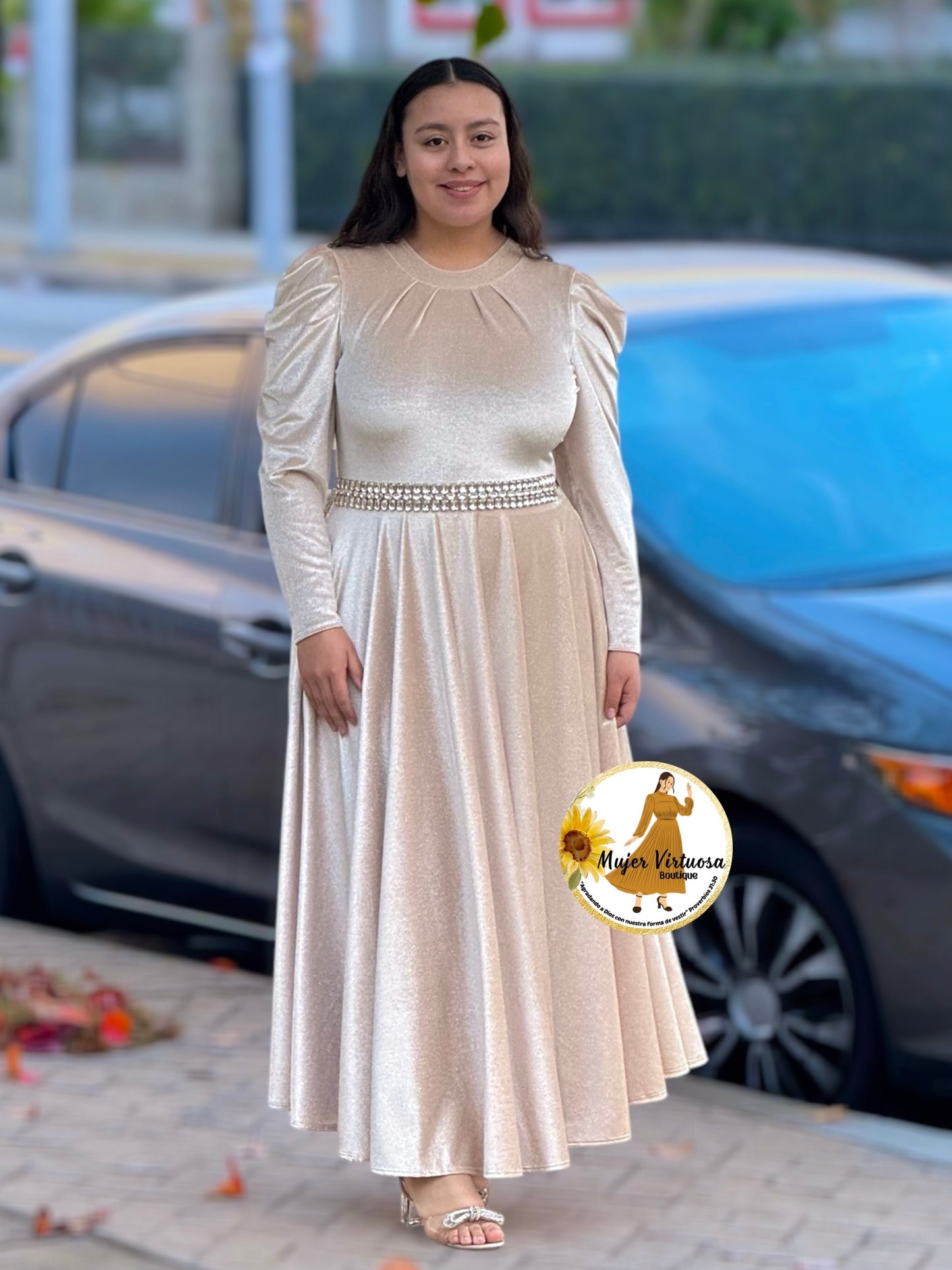 Eloisa Ivory Glitter Velvet Dress