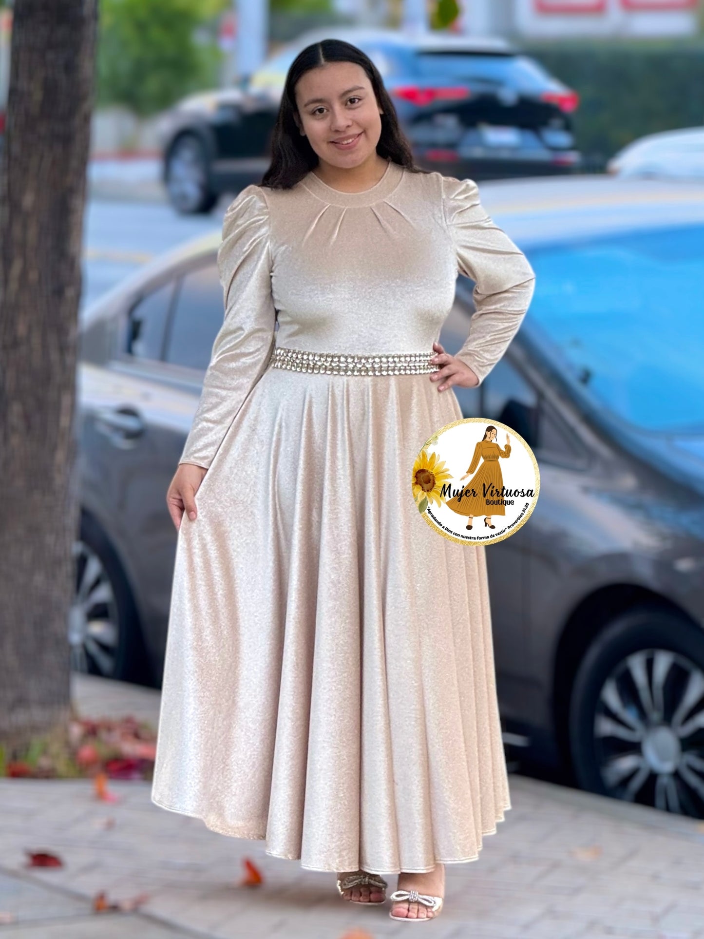 Eloisa Ivory Glitter Velvet Dress