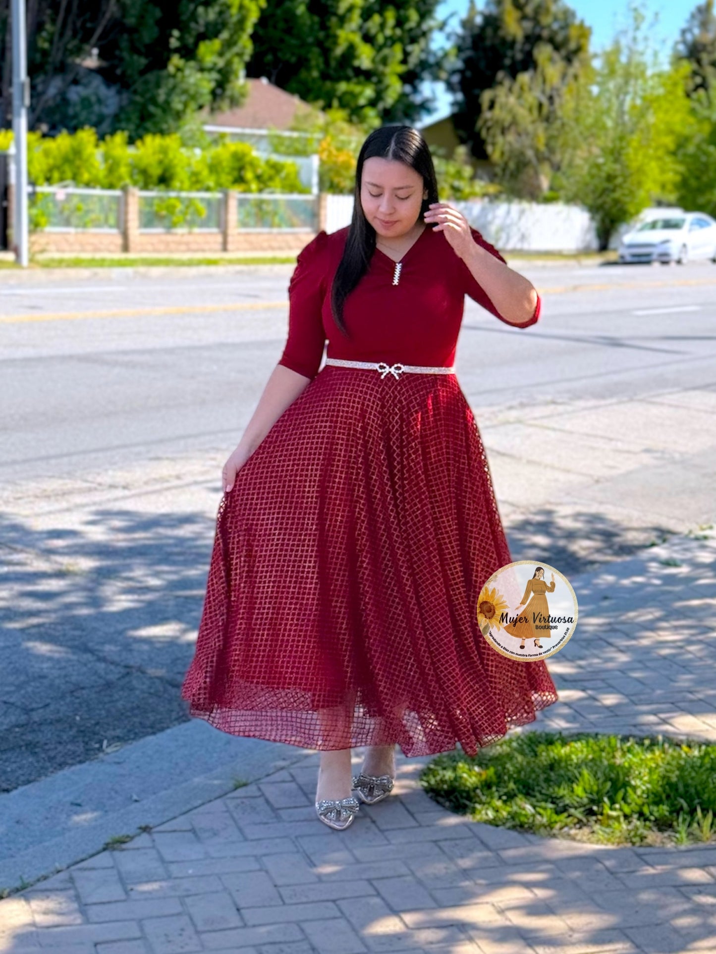 Lisa Ruby Red Mesh Dress