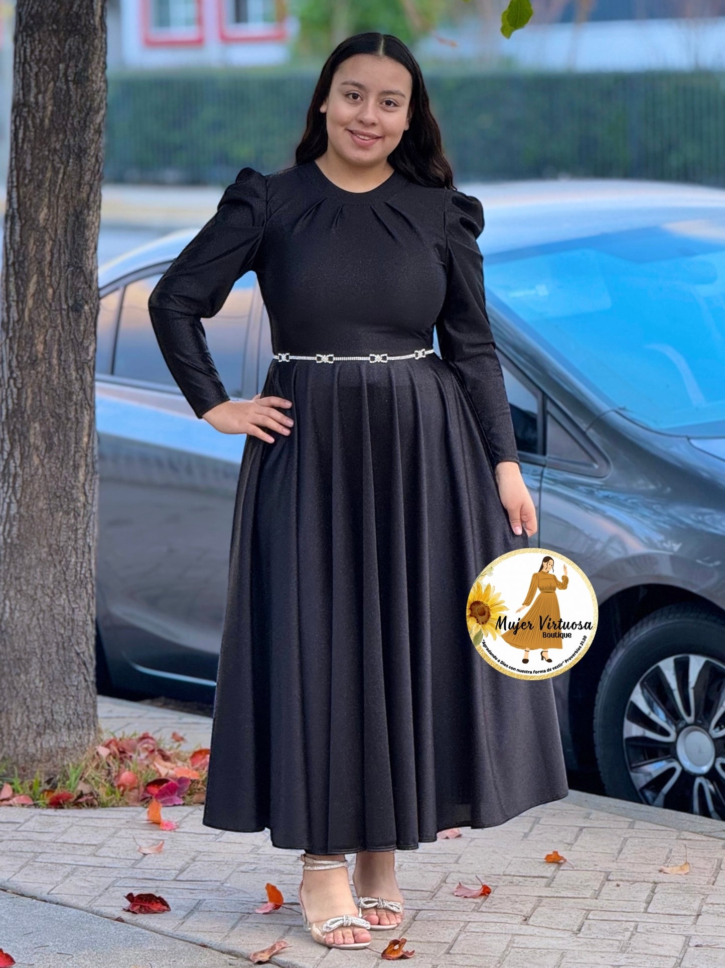 Eloisa Black Glitter Satin Dress