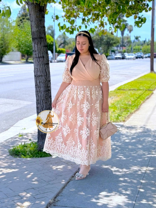 Julisa Tan Mesh Dress