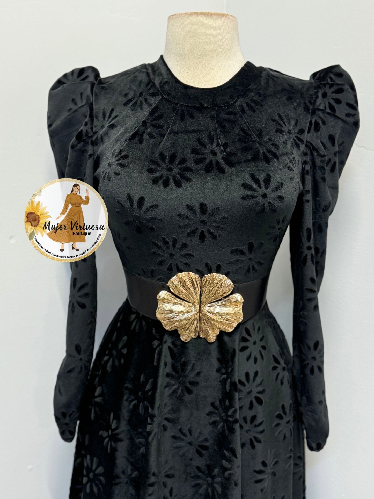 Eloisa Black Floral Velvet Dress