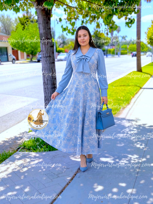 Adara Sky Blue Embroidered Dress