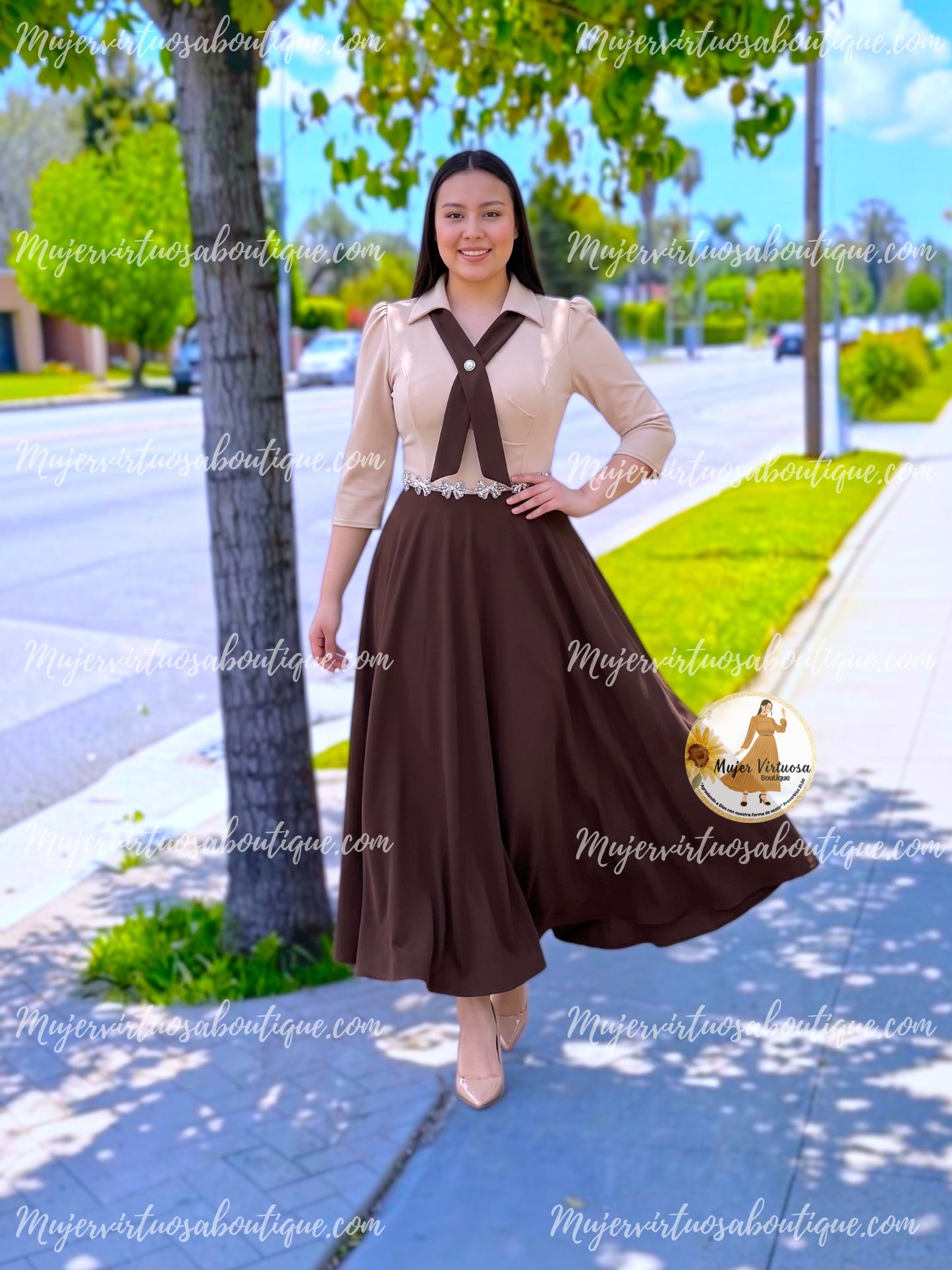 Ana Beige & Brown Dress