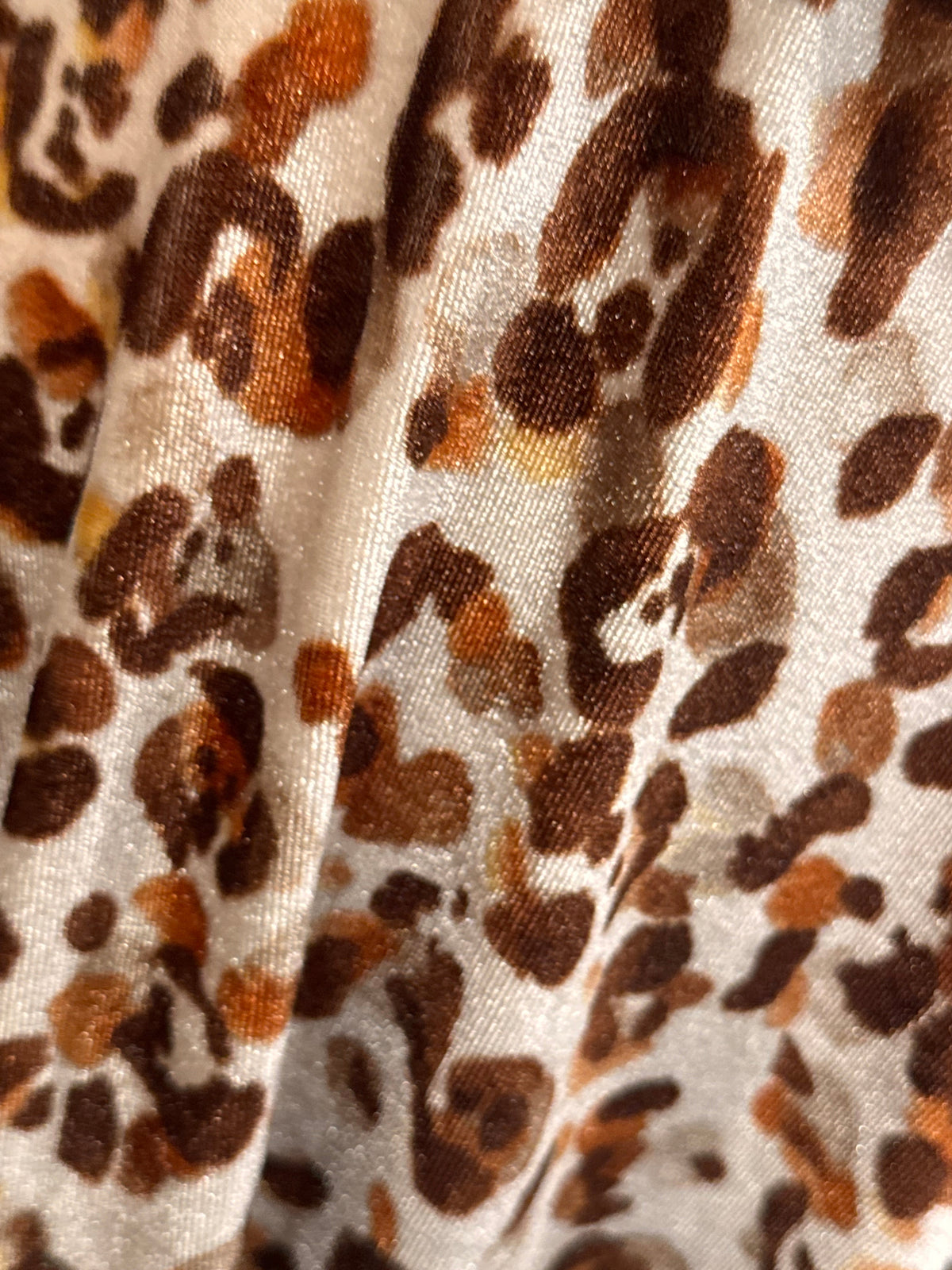 Larissa Brown Animal Print Velvet Dress