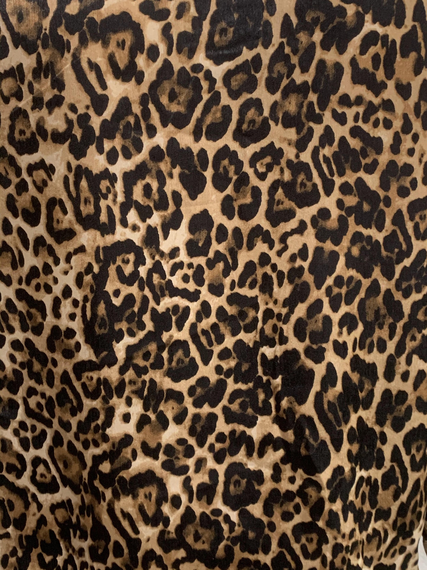 Judith Leopard Print Top